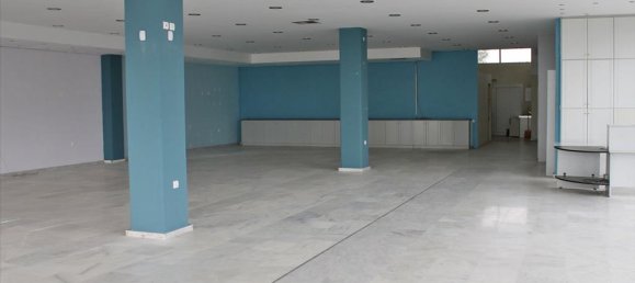 Недвижимость 900м² в Катерини, Пиерия, Центральная Македония, Македония и Фракия, Греция № 6494 2