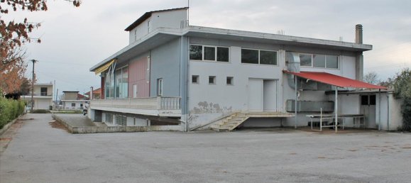 Недвижимость 900м² в Катерини, Пиерия, Центральная Македония, Македония и Фракия, Греция № 6494 11