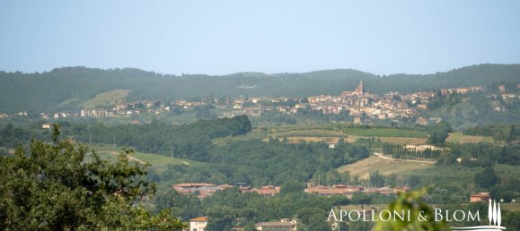 4 bedrooms House in Foiano della Chiana, Italy No. 53538 50