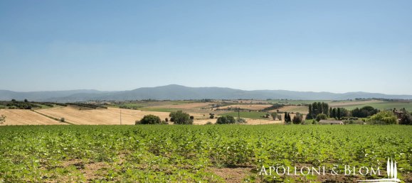 4 bedrooms House in Foiano della Chiana, Italy No. 53538 64