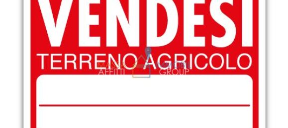 1-Zimmer Grundstück in Massa, Italy, Nr. 122894 5