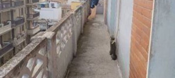 3 Schlafzimmer Wohnung in Foggia, Italy, Nr. 325790 15