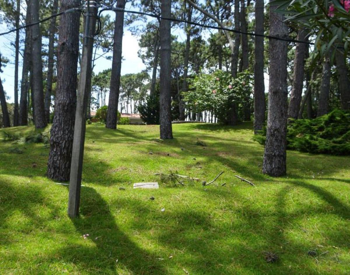  Land in Maldonado, Uruguay No. 15053
