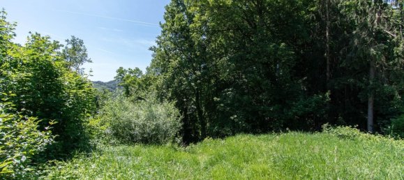 Grundstück in Puchenau, Austria, Nr. 126858 2