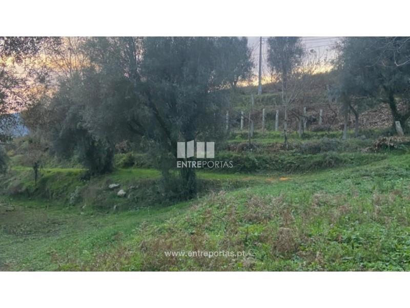 1 Schlafzimmer Grundstück in Rio de Moinhos, Portugal, Nr. 236710