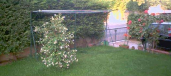 3 rooms Apartment in Mantua, Italy No. 250760 13