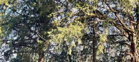 6 غرف نوم فيلا في Mantua, Italy رقم 363428 3