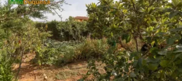 3 bedrooms House in Granada, Spain No. 99848 39