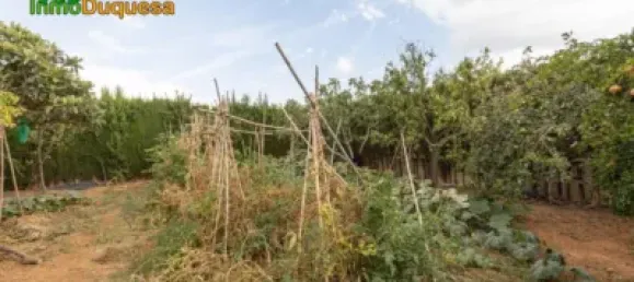 3 bedrooms House in Granada, Spain No. 99848 34