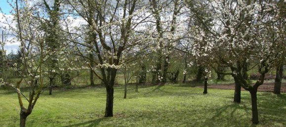 10 rooms Villa in Vicchio, Italy No. 103442 27