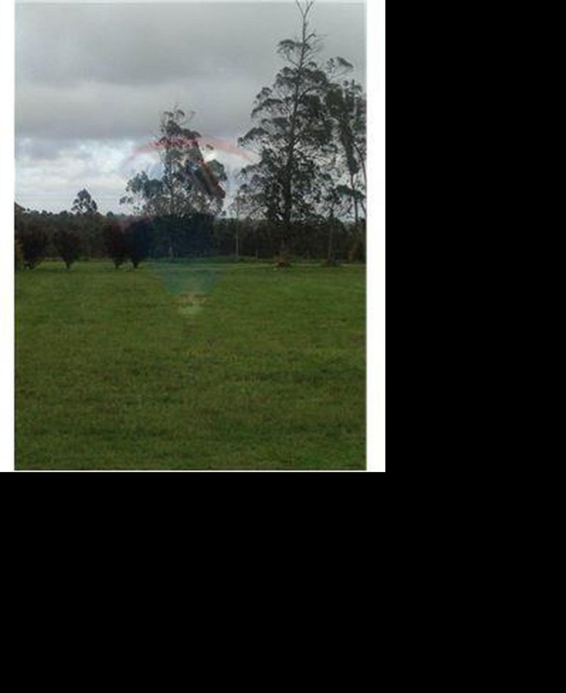 Terrain à Canelones, Uruguay No. 15487