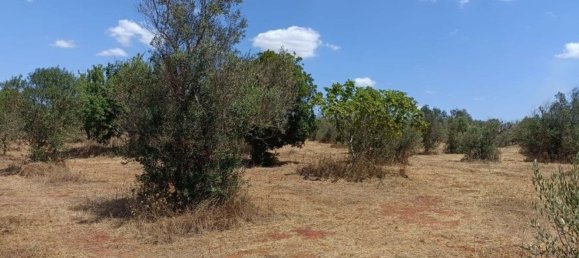 Terreno en Ugento, Italy 18000 m² No. 278087 11