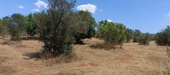 Terreno en Ugento, Italy 18000 m² No. 278087 9