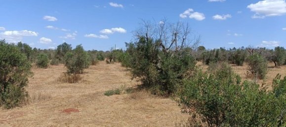 Terreno en Ugento, Italy 18000 m² No. 278087 8