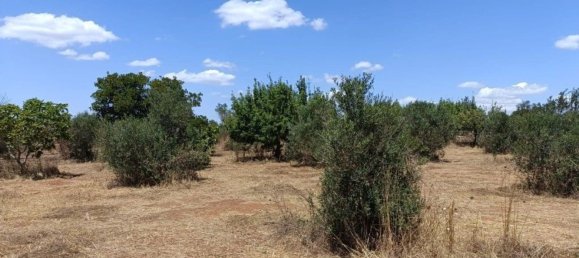 Terreno en Ugento, Italy 18000 m² No. 278087 7