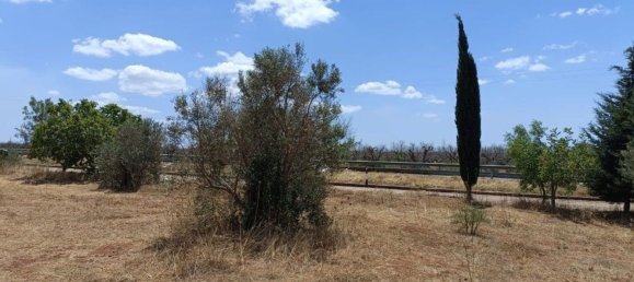 Terreno en Ugento, Italy 18000 m² No. 278087 6