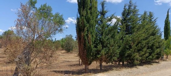 Terreno en Ugento, Italy 18000 m² No. 278087 3