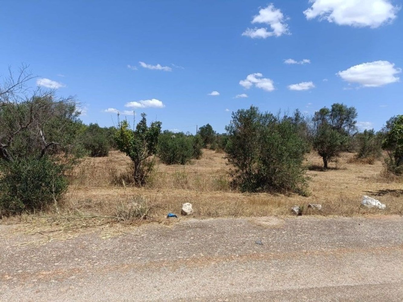 Terreno en Ugento, Italy 18000 m² No. 278087