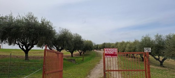 Дом с 6 комнатами в Порто Сант Эльпидио, Италия № 74864 11