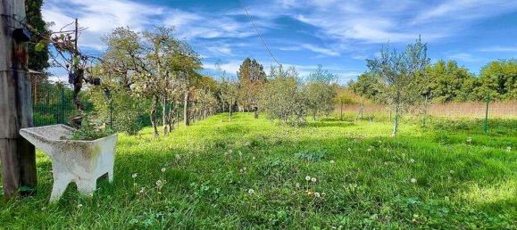 4 bedrooms House in Città della Pieve, Italy No. 56031 15