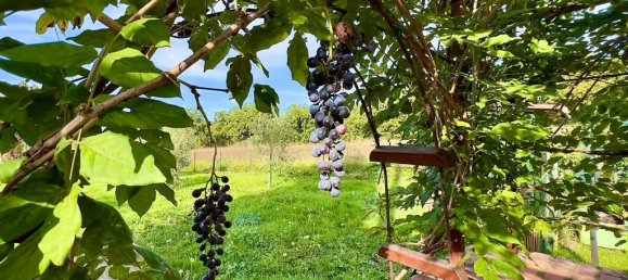 4 bedrooms House in Città della Pieve, Italy No. 56031 16