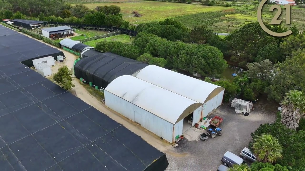 Склад в Одесейше, Португалия № 290157