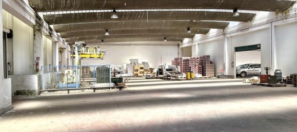  بناية في Nardò, Italy 5982متر مربع رقم 332402 23