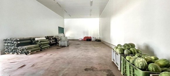  بناية في Nardò, Italy 5982متر مربع رقم 332402 25