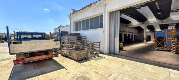  بناية في Nardò, Italy 5982متر مربع رقم 332402 5