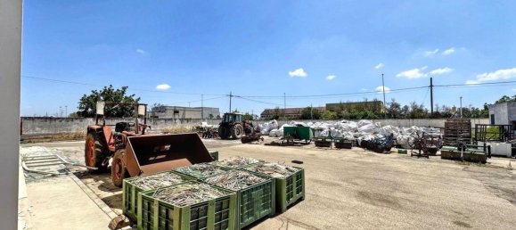  بناية في Nardò, Italy 5982متر مربع رقم 332402 7