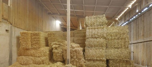 5 bedrooms Farm in Ansbach, Germany No. 367935 22