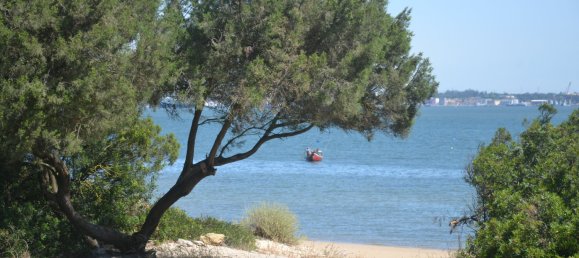 Grundstück in Grandola, Portugal 400m², Nr. 143032 2