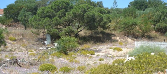 Grundstück in Grandola, Portugal 400m², Nr. 143032 3