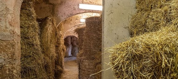 8 غرف نوم منزل في Menorca, Spain رقم 147634 19