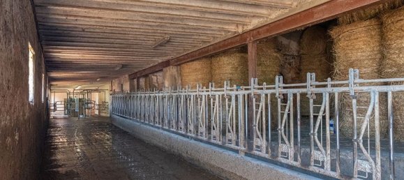 8 غرف نوم منزل في Menorca, Spain رقم 147634 16