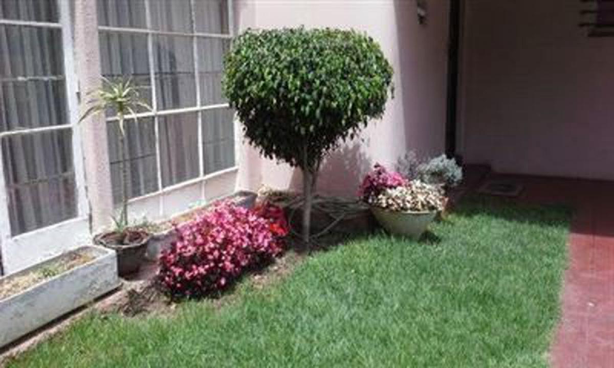 5 bedrooms House in Valparaiso, Chile No. 3790