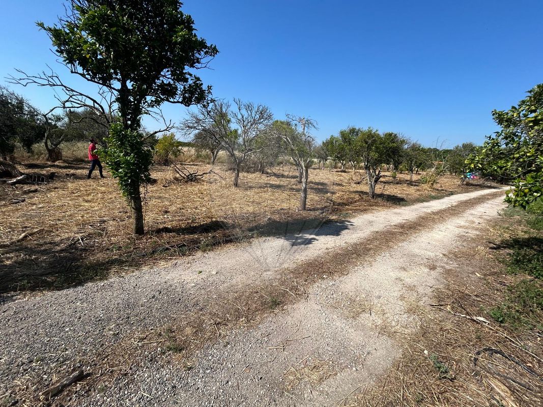 3529m² Land in Palmela, Portugal No. 67923