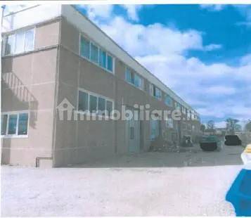 5 rooms Office in Morrovalle, Italy No. 275294