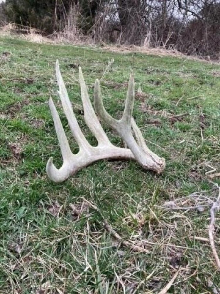  Land in Lucerne, USA No. 543340