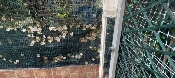 2 rooms Apartment in Mascali, Italy No. 130036 17