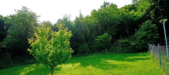 3 rooms House in Pressbaum, Austria No. 166534 14