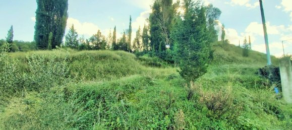 5500m² Hotel in Corfu, Greece No. 3405 7