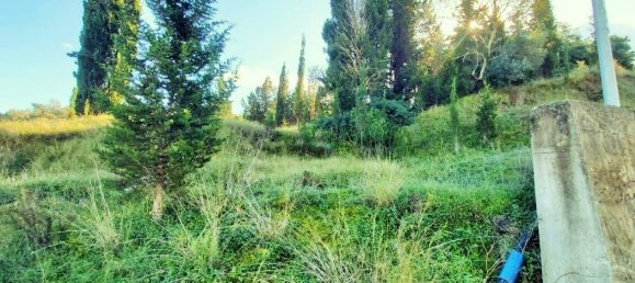 5500m² Hotel in Corfu, Greece No. 3405 2