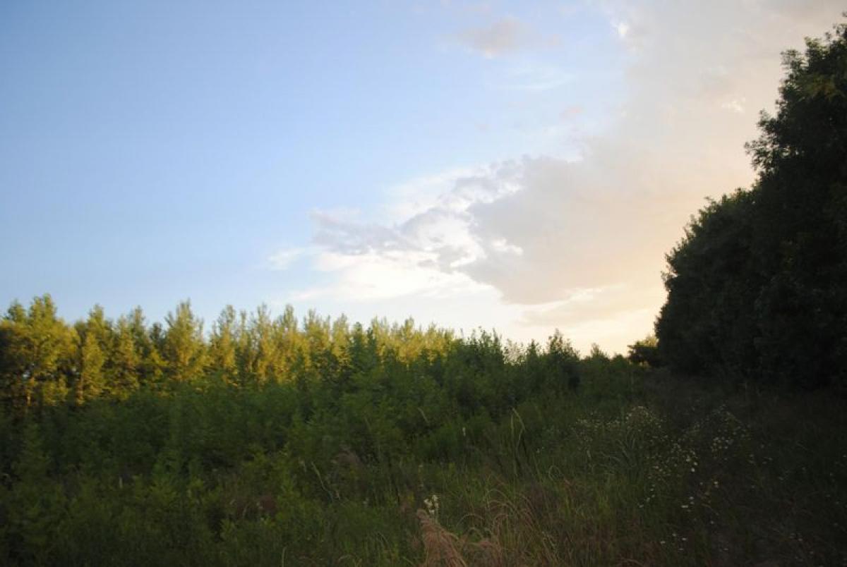  Land in Santa Fe, Argentina No. 40961