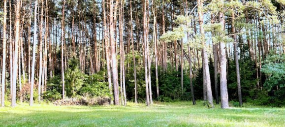 12 rooms Villa in Celle, Germany No. 312993 12