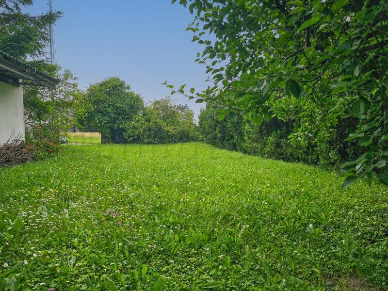  Land in Ganserndorf, Austria No. 259913