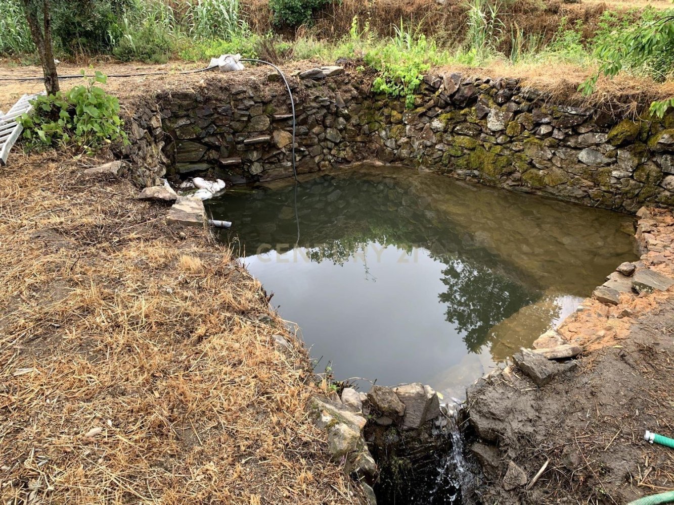 Grundstück in Pero Viseu, Portugal, Nr. 191333