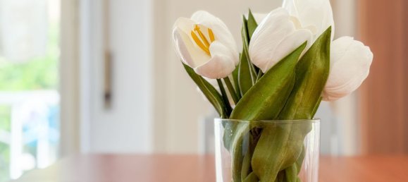 4 bedrooms Apartment in Siena, Italy No. 348217 10