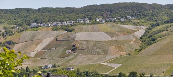 Apartamento de 2 dormitorios en Bernkastel-Wittlich, Germany No. 291656 2