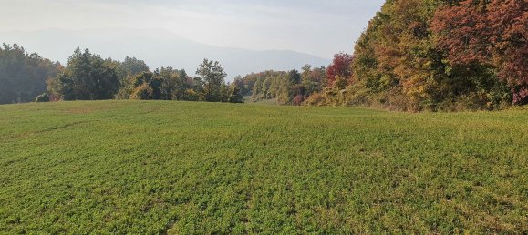 Grundstück in Bettola, Italy 109600m², Nr. 159206 17